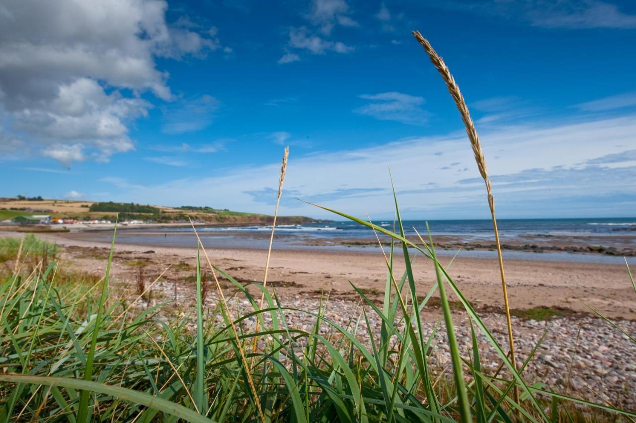 Bed & Breakfast Bayview Stonehaven